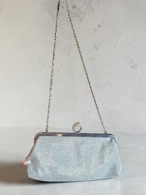 Elegant Silver Evening Clutch